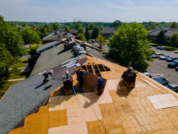 Best Metal Roofing Contractor  in Johnsburg, IL